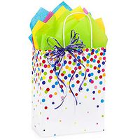 NW Rainbow Confetti Paper Shopping Bags - Cub Size - 8 1/4 x 4 3/4 x 10 1/2in. - 25 Pack