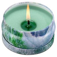 Wending Scented Candle, Natural Soy Wax - 8.1 Ounce - 45 Hours Burn - Travel Tin - Non-Toxic - Air Cleaner - Pet Odor Exterminator - Pet House Candle
