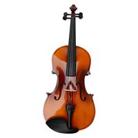Back to School Basswood Acoustic Viola + Case + Bow + Rosin Xmas (15", Retro)