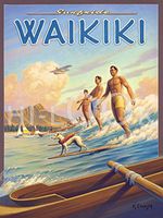 Hi-Look Microfiber Cleaning Cloth - Surfride Waikiki