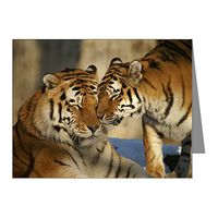 Note Card Nuzzling Tiger Love