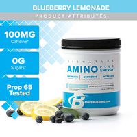 Bodybuilding Signature Amino Plus Energy Powder | Essential Amino Acids and Caffeine | Nutrition Supplement | Promote Energy and Recovery | 30 Servings, Blueberry Lemonade