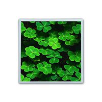 Contact Lens Box Holder Container Case Storage Eyecare Kit -Green Clovers