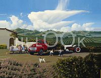 Hi-Look Microfiber Cleaning Cloth - Picnic at Vineyard