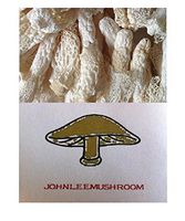 Bamboo Fungus Mushroom Dried 715 Gram