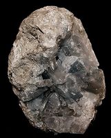 Celestite Natural Stone Quality Crystal Geode 1,052 Grams