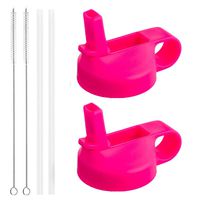 The Mass Wide Mouth Straw Lid Compatibility Most Sports Water Bottle (Flamingo)