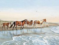 Hi-Look Microfiber Cleaning Cloth - Chincoteague Ponies