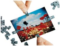 Lomographic Fotoclips (pack of 100)