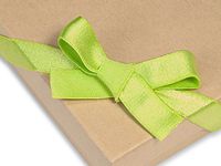 Pack Of 50, 12" Chartreuse Satin Stretch Wide Loops W/Pre-Tied Bows For Jewelry Boxes