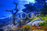 Hi-Look Microfiber Cleaning Cloth - Ghost Tree Point