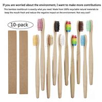 GWOKWAI 10 Pack Bamboo Charcoal Toothbrushes, Natural Biodegradable Eco-Friendly Bamboo Charcoal Tooth Brush with Colored Bristles for Home Hotel Travel Household