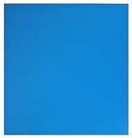 HealthWize Magnetic Water Converter Pad - Energize Your Health! by Thompson Emporium