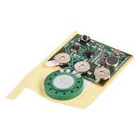 Zerone Voice Module, 30s Recordable Music Sound Voice Module Chip 0.5W with Button Battery (photosensitive Control)