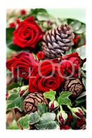 Hi-Look Microfiber Cleaning Cloth - Cones and Roses