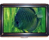 Cigarette Case,Bass Fish Theme of Full of Personality Business Cards Clean