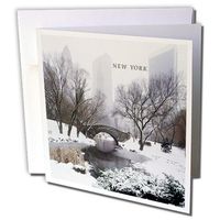 Winter in Central Park - Greeting Cards, 6 x 6 inches, set of 12 (gc_62098_2)