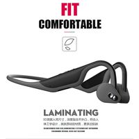 Insaneness Stereo Noise-Cancelling Bluetooth Wireless Bone Conduction Headphones Sport Headset (Black)