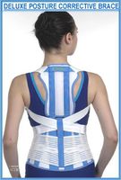 Prolineonline Deluxe Posture Brace & Back Lumbar Support Combined Size = Large
