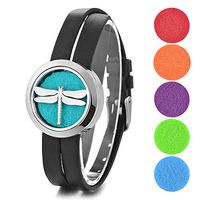 Garden Charms Dragonfly Aromatherapy Perfume Oil Scent Diffuser Locket 30mm 316L Stainless Steel with 5pcs Felt Pads Randomly (E)