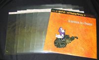 25 Sealable Plastic Outer Sleeves for 10" Vinyl Records #10SP02SS - Protect the Record Jacket & Protect Against Dust! 2 MIL THICK! (Albums/Outersleeves)