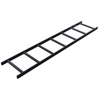 LADDER RACK RUNWAY, 5 FT Computers, Electronics, Office Supplies, Computing