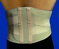 Swede-O Lumbar Support w Moldable Insert - Lg Beige