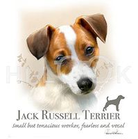 Hi-Look Microfiber Cleaning Cloth, dog design - Jack Russell Terrier