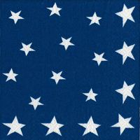 4th of July Party Supplies Paper Napkins Luncheon Size flag Stars and Stripes 40 Count 6.5" x 6.5" Folded