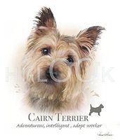Hi-Look Microfiber Cleaning Cloth, dog design - Cairn Terrier