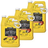 Harris 1 Gal. Asian Lady Beetle and Box Elder Bug Killer (3-Pack)