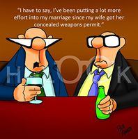 Hi-Look Microfiber Cleaning Cloth - Concealed Weapons Permit