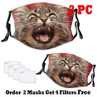 Gunner Cat Dust Mouth Mask - Animal Pet Print Dust Face Mask Surgical Masks Particulate Respirator Reusable 2PC (Funny mask 2)