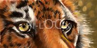 Hi-Look Microfiber Cleaning Cloth - Tiger's Eye