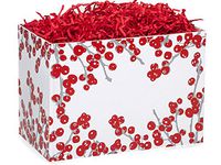 Large Berry Frost (6 Pack ) 10-1/4x6x7-1/2"