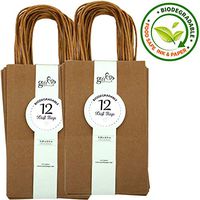 Gift Expressions Paper Gift Bags, 24 Count, Natural Brown Kraft Paper Bags, 5.25” x 8.5” x 3.5", 100% Recycled, Thick & Durable Eco Friendly Paper Bags with Handles, Goodie Bags, Party Bags