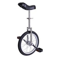 ZeHuoGe Silver 16" Unicycle Excellent Manganese Steel Frame Leakage Protection Mute Bearing US Delivery (Silver, 16")