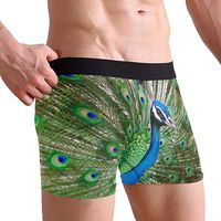 I Am The Most Beautiful Among All Peacocks Men's Sexy Boxer Briefs Stretch Bulge Pouch Underpants Underwear