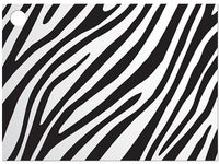 6 Pack Zebra Jungle Animal Print Stripes Black & White Theme Print Gift Enclosure Card Cards