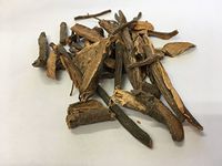 地榆 | Garden Burnet Root