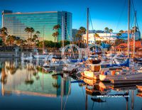 Hi-Look Microfiber Cleaning Cloth - Shoreline Village Long Beach