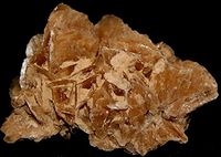 Desert Rose Gypsum Selenite Family Crystal DES1804