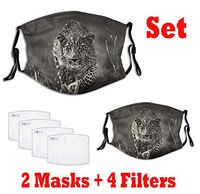 Cougar Printed Dust Mouth Cover - 2PC with PM2.5 Activated Carbon Filter for Adult Outdoor Indoor Activities Reusable