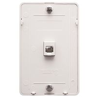Wall Plate IDC 6P6C - White