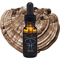 Feral Fungi Artist Conk Mushroom Spagyric Tincture