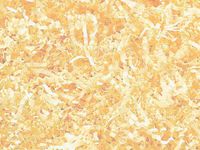 French Vanilla Small Box Kraft Gift Basket Box with Crinkle Paper Shred