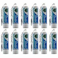 Vicks Inhaler (12 Sticks Wholesale Pack) Nasal Decongestant VapoInhaler with Keychain
