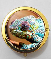 BlackKey Chameleon 3-Compartment Decorative Pocket Gift Box Case Organizer for Pill, Color 2 -2233