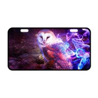 Galaxy Space Owl Durable Aluminum Car License Plate 11.8" x 6.1"