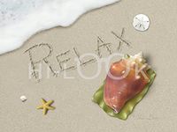 Hi-Look Microfiber Cleaning Cloth - Relax